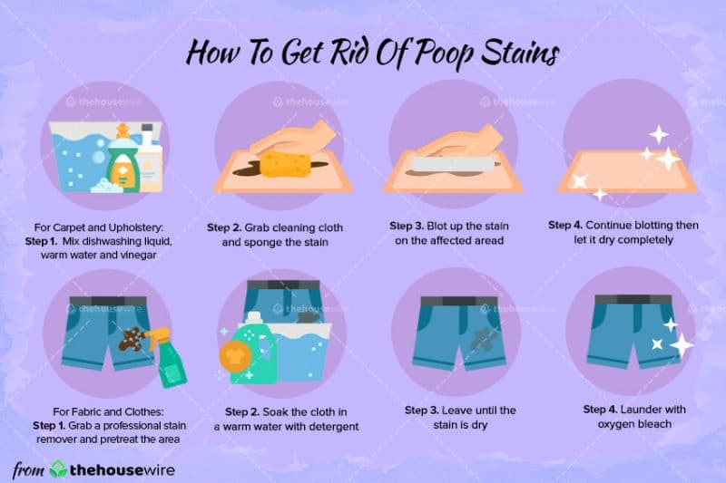 How To Get Rid Of Poop Stains